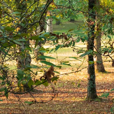 L'archetto 招待所