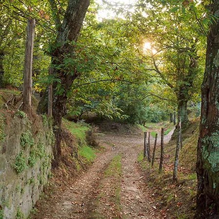 Gasthof L'archetto *