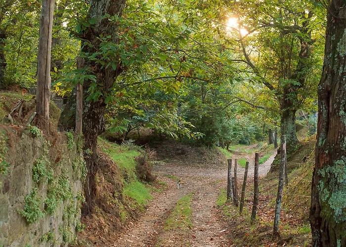 Gasthuis L'archetto *