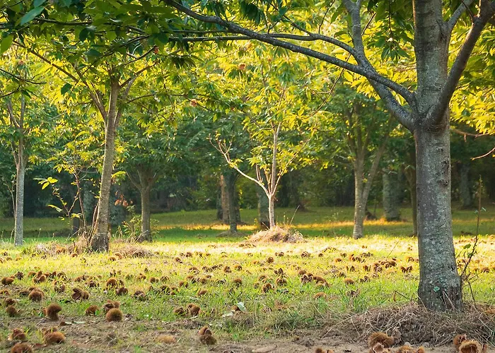 L'archetto Gasthuis *