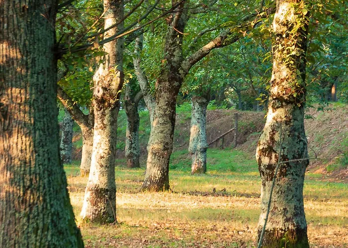 L'archetto * Roccamonfina